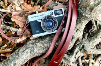 Wildlife Photography Tips 2026: Complete Guide for Beginners