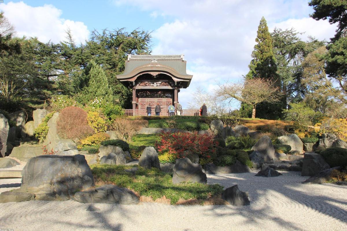 Featured image for best compact digital cameras 2026 top picks reviews