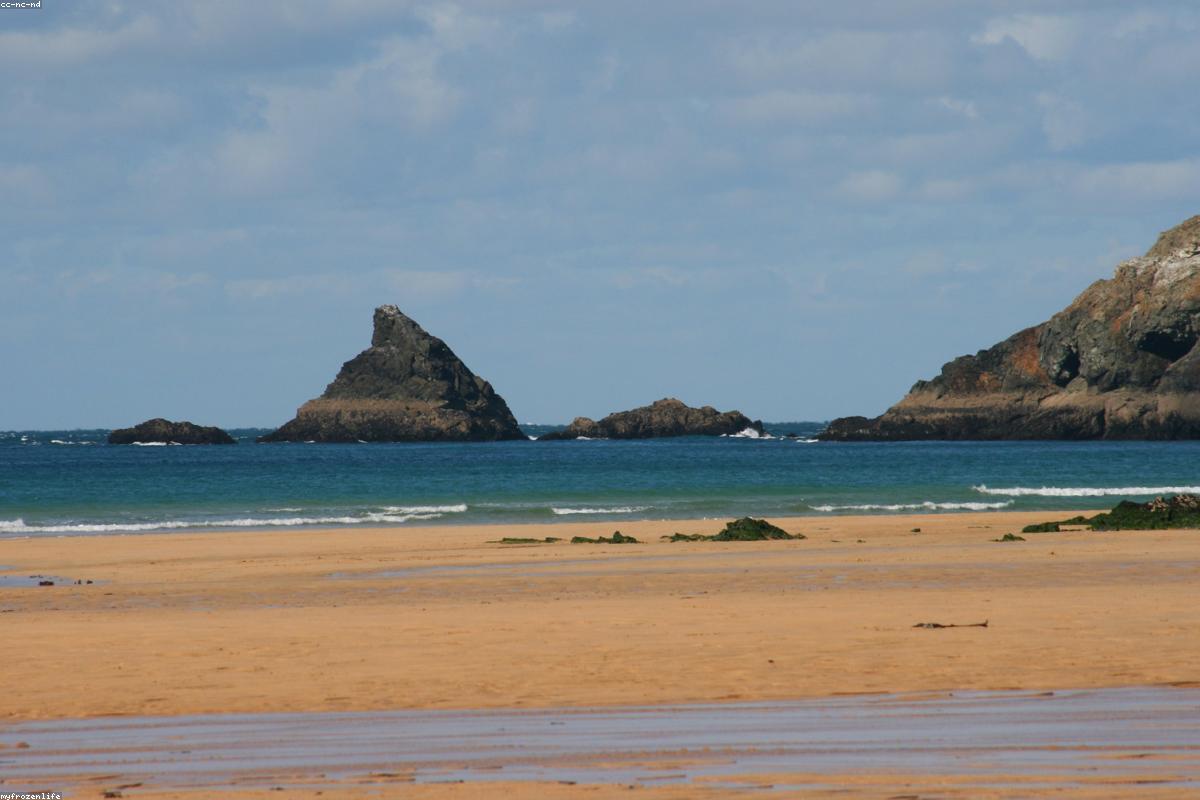 Featured image for best telephoto lenses 2026 complete buyers guide 20260219