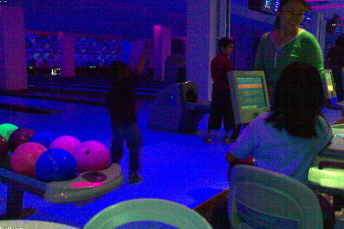 Featured image for canon rf 100 500mm wildlife lens review pro performance test