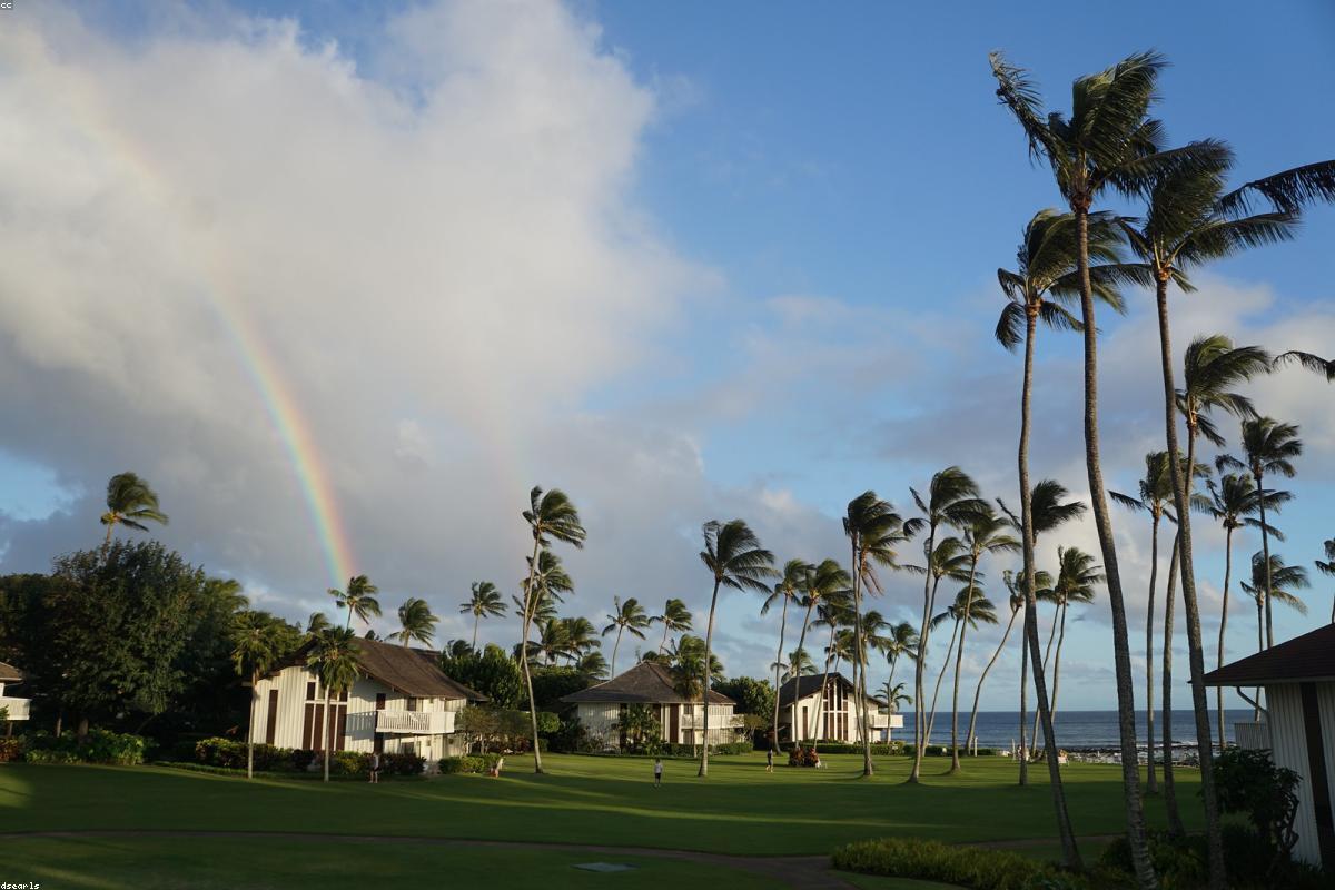 Featured image for sony camera announcements rumors 2026 latest news