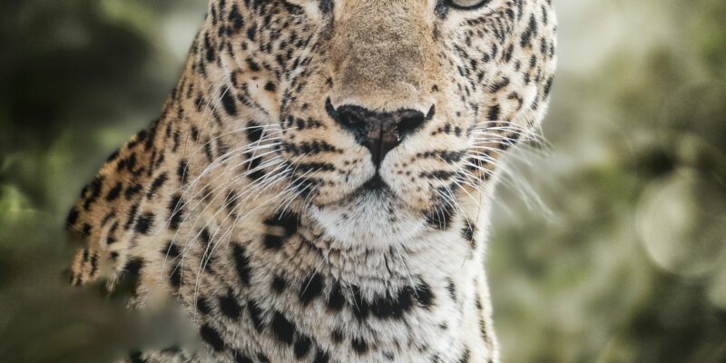 Diminishing Returns? I Don’t Think So.