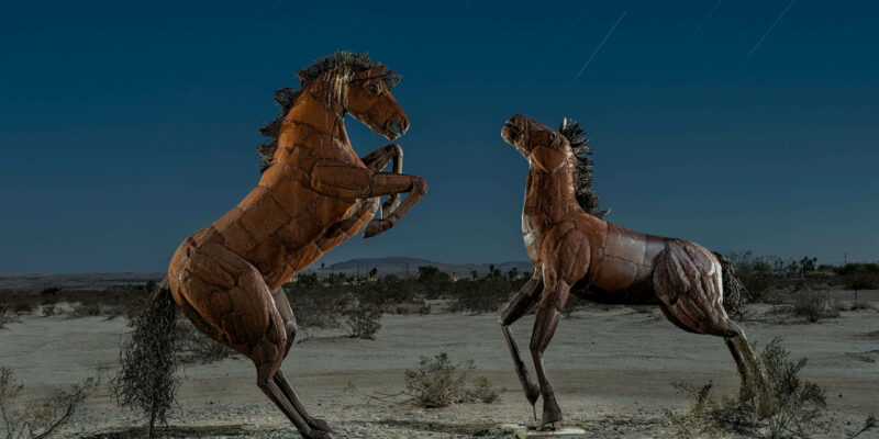 Best way to focus your camera for great star trails