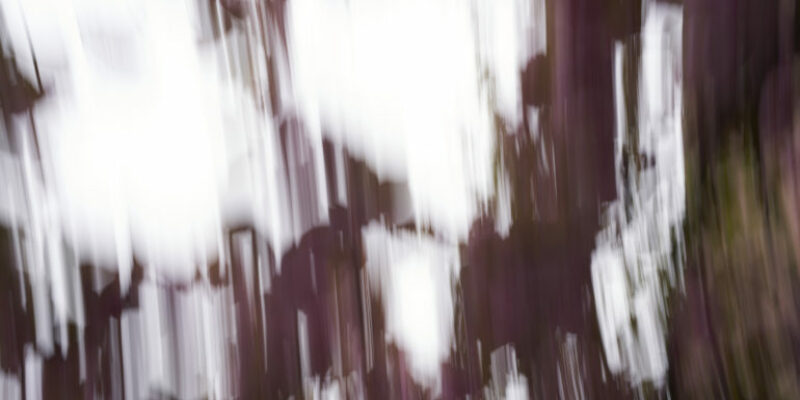 An Open Letter to the Art Photography Community