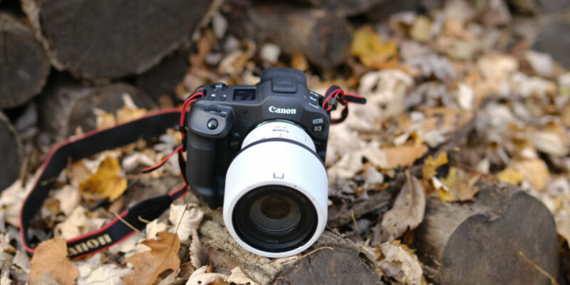 Which Flagship Wins This Year?