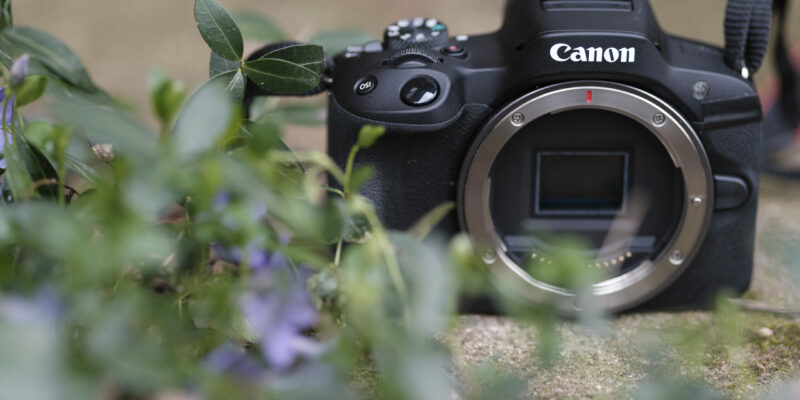 Will Entry-Level Canon Cameras See a Price Drop This Year?