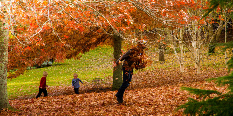 Think outside the box this fall for portrait photoshoots