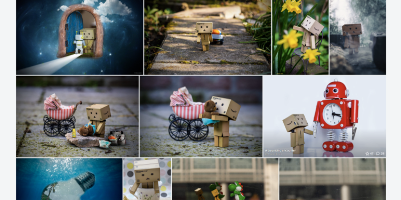 What a New Photographer Should Know About Flickr