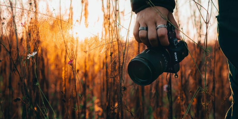 Five all-around cameras to get secondhand in 2025